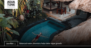 Say Goodbye To Algae Woes - Expert Tips From Aquatune!
