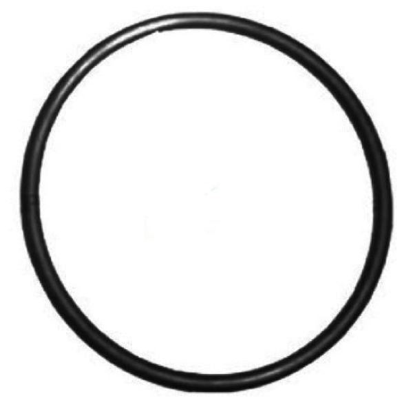O-ring for Filter Lid suits Suits Poolrite Enduro, Monarch Ecopure & Monarch Clearflow Cartridge Filters - OR107M