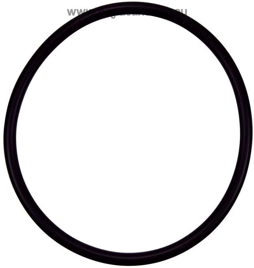 Rainbow O ring suits RB 320 feeder lid - R172009-Accessories-Aquatune