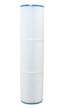 Aquaswim/Davey CF100 Aquatune/Magnum replacement cartridge - 50100 - AQ100