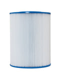 Hot Springs C65 / Tiger River Aquatune/Magnum Replacement Cartridge - 31114 - HS65