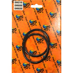 O-Ring for Pump Lid suits Neptune NPP550, NPP750, NPP100 & NPVS150 Pool Pumps