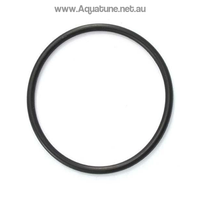 Astral CTX-E Series Pump Lid O ring-O-rings and Gaskets-Aquatune