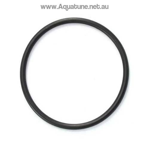 Astral CTX-E Series Pump Lid O ring-O-rings and Gaskets-Aquatune