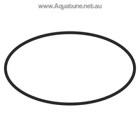O-Ring for MPV to Tank suits Neptune SF500-650 & ECSF500-650 Sand Filters.-O-rings and Gaskets-Aquatune