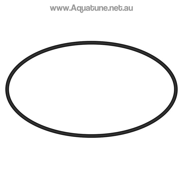 O-Ring for MPV to Tank suits Neptune SF500-650 & ECSF500-650 Sand Filters.-O-rings and Gaskets-Aquatune
