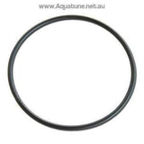 O-ring Lid PK1 Suits Davey Silensor SLL Pump-O-rings and Gaskets-Aquatune